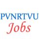 Teaching Jobs in Telangana Veterinary University