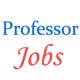 Various professor Jobs in Dibrugarh University