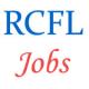 Officer (Finance) Jobs in RCFL