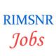 Professor jobs in UP Rural Institute of Medical Sciences & Research (RIMSNR)