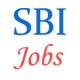 Special Management Executive Banking Jobs in SBI