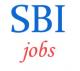 Senior Level Specialist Officers Jobs in SBI