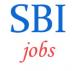 Specialist Officer IT Jobs in SBI