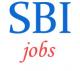 Circle Based Officers Jobs in SBI