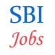 Wealth Management Officers Jobs in SBI