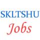 Teaching Jobs in SKLTSHU