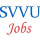 Various Professor Jobs in Sri Venkateswara Vedic University (SVVU)