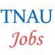 Assistant Professor Jobs in TNAU