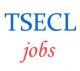 Tripura State Electricity Corporation Limited Jobs