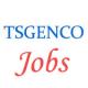 856 posts of Assistant   Engineers in Telangana State Power Generation Corporation Limited (TSGENCO)