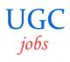 Senior Statistical Assistant Jobs in UGC