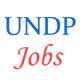 Various Jobs in United Nations Development Programme  (UNDP)