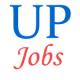 Teacher Jobs Examination 2018  by Besic Shiksha Parishad Uttar Pradesh