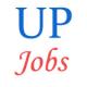 Uttar Pradesh Civil Court Staff Centralised Jobs