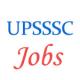 Various jobs in Uttar Pradesh Subordinate Services Selection Commission (UPSSSC)