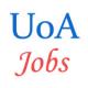 Teaching Jobs in University of Allahabad