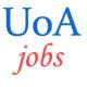 Non-Teaching Technical Staff Jobs in University of Allahabad