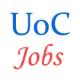 Teaching Jobs in Calcutta University