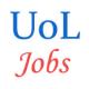 Teaching Jobs in University of Lucknow