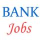 Andhra Bank Security Officers Jobs