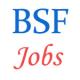 BSF Jobs in Water Wing