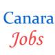 Senior Specialist Officer posts in Canara Bank