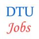 Assistant Professor Jobs in DTU Delhi