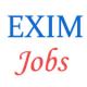 09 Officer Trainee jobs in EXIM Bank