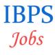 Specialist Officers - 6th CRP IBPS Exam