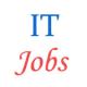 IT Manager jobs in Union Bank