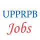 Various posts of Sub-Inspector in Uttar Pradesh Police Recruitment and Promotion Board (UPPRPB)