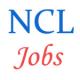 Northern Coalfields Limited Jobs