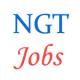 National Green Tribunal Jobs