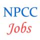 Management Trainee Jobs in NPCC