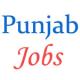 Punjab Subordinate Services Selection Board Jobs