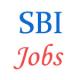 SBI Specialist Officer Jobs