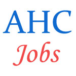 Contractual Jobs in Allahabad High Court