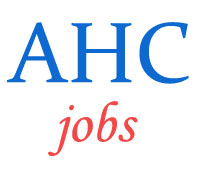 Law Clerk Trainee Jobs in Allahabad High Court