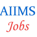 Group-A and Group-B Jobs in AIIMS