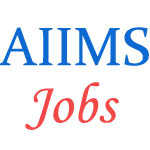 Teaching Jobs in AIIMS