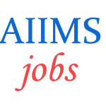 Teaching Jobs in AIIMS