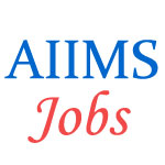 Teaching Jobs in AIIMS