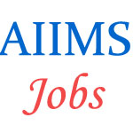 Non-Teaching Jobs in AIIMS