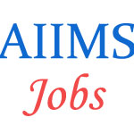 Teaching Jobs in AIIMS