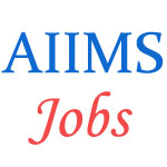 Staff Nurse Grade-I/II Jobs in AIIMS