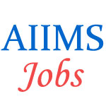 Group-A Jobs in AIIMS