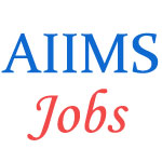 Teaching Jobs in AIIMS