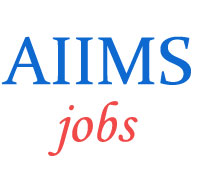 Nursing Superintendent Jobs in AIIMS