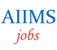 Teaching Jobs in AIIMS