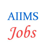 Professor Jobs in All India Institute of Medical Sciences (AIIMS) 